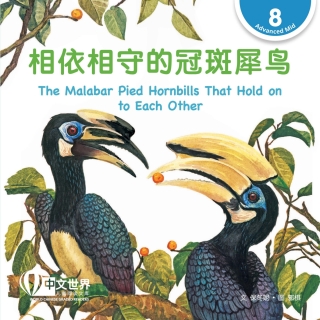 Cover image: 相依相守的冠斑犀鸟 The Malabar Pied Hornbills That Hold on to Each Other (Level 8) 1st edition 9789815137002
