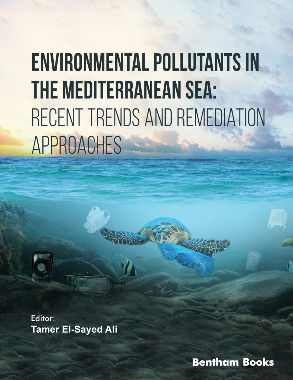 Environmental Pollutants in the Mediterranean Sea: Recent Trends and Remediation Approaches 1st Edition