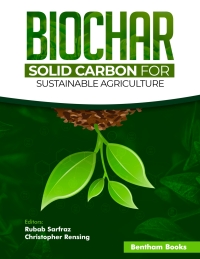 Titelbild: Biochar - Solid Carbon for Sustainable Agriculture 1st edition 9789815238075