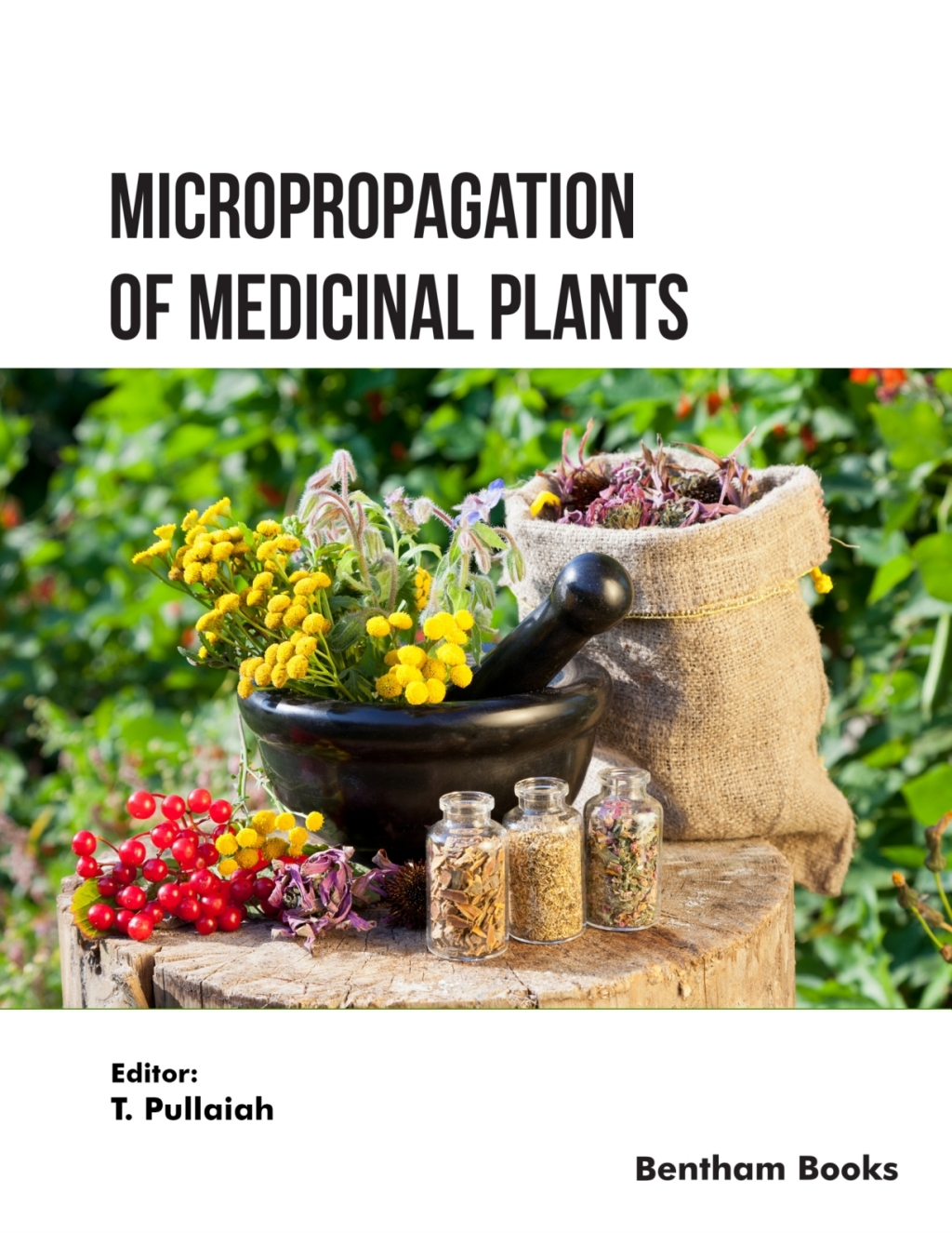 Micropropagation of Medicinal Plants: Volume 2 1st Edition