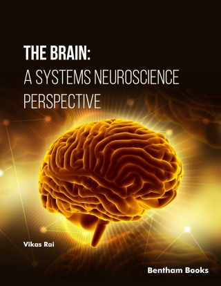 Cover image: The Brain: A Systems Neuroscience Perspective 1st edition 9789815256994