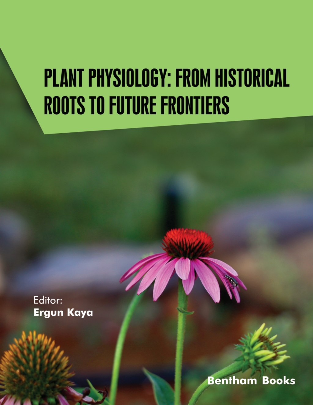 Plant Physiology: From Historical Roots to Future Frontiers 1st Edition