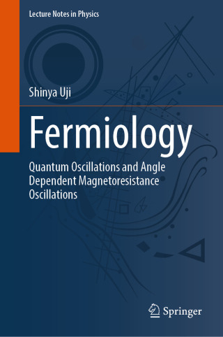 Cover image: Fermiology 9789819508198