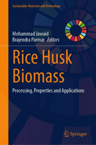 Cover image: Rice Husk Biomass 9789819610815