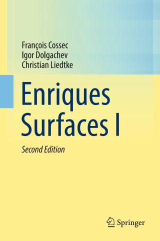 Cover image: Enriques Surfaces I 2nd edition 9789819612130