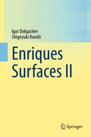 Cover image: Enriques Surfaces II 9789819615124