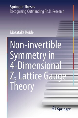 Cover image: Non-invertible Symmetry in 4-Dimensional Z2 Lattice Gauge Theory 9789819622719