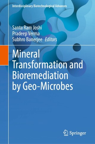 Titelbild: Mineral Transformation and Bioremediation by Geo-Microbes 9789819630325