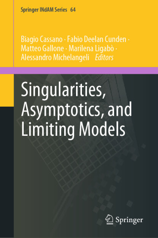Cover image: Singularities, Asymptotics, and Limiting Models 9789819635832