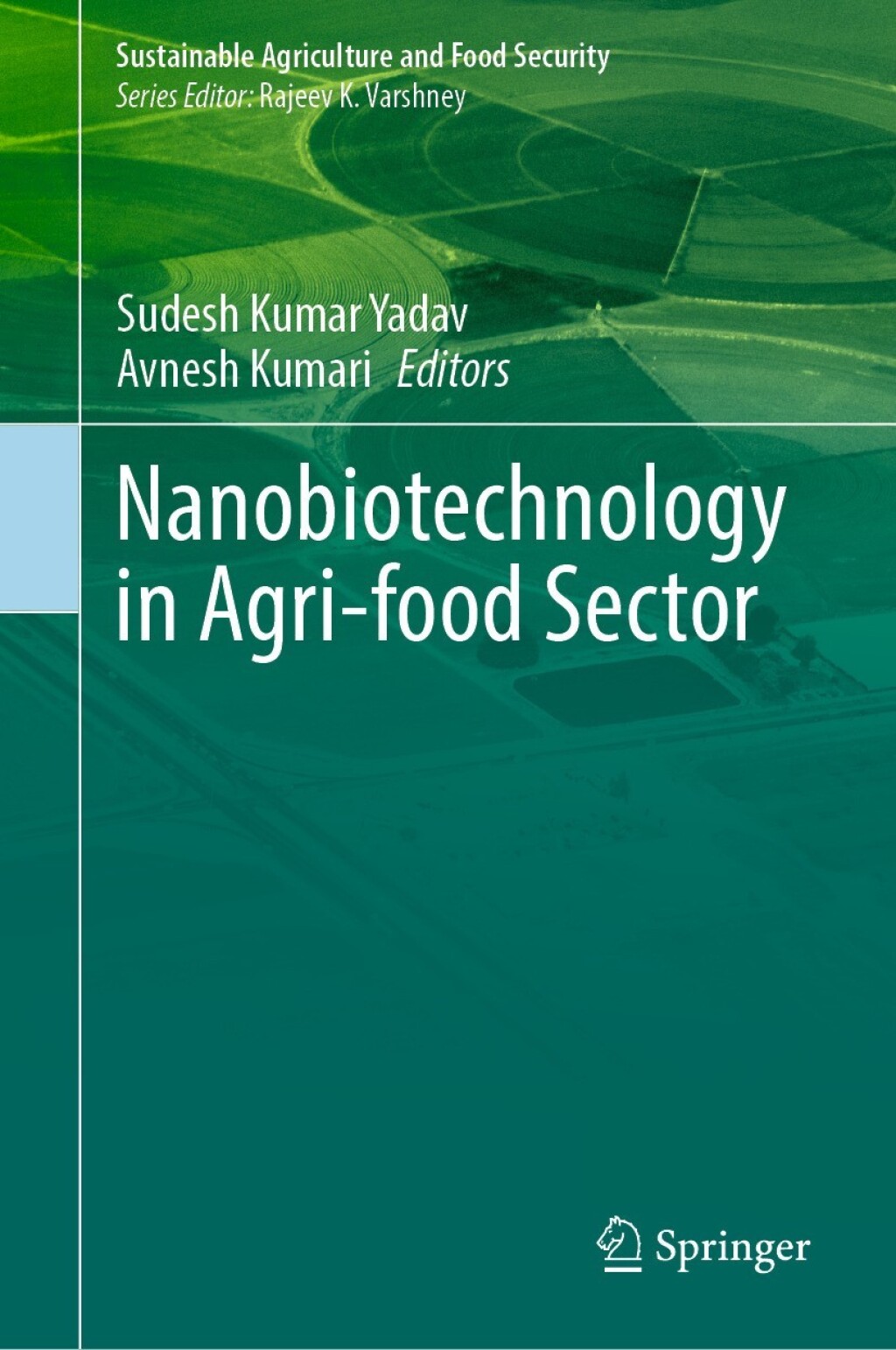 ISBN 9789819677559 product image for Nanobiotechnology in Agri-food Sector (eBook Rental) | upcitemdb.com