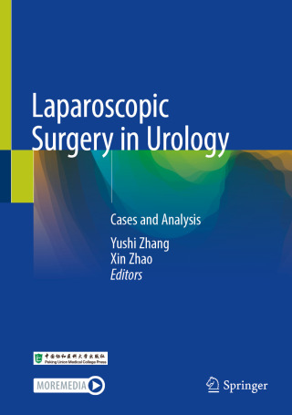 Cover image: Laparoscopic Surgery in Urology 9789819685974