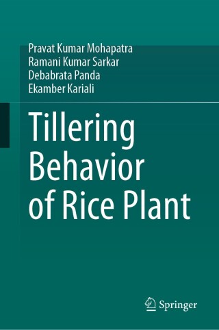 Cover image: Tillering Behavior of Rice Plant 9789819752348