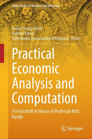 Imagen de portada: Practical Economic Analysis and Computation 9789819767526