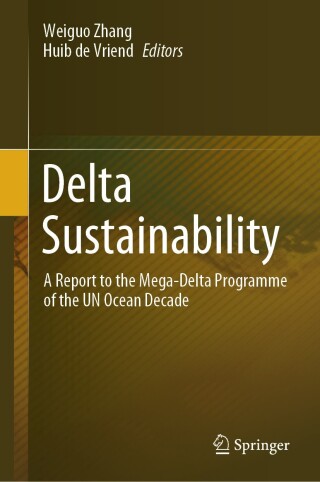 Cover image: Delta Sustainability 9789819772582