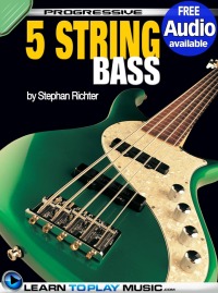 Imagen de portada: 5-String Bass Guitar Lessons for Beginners 1st edition