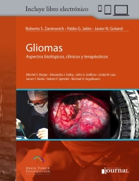 Cover image: Gliomas: Aspectos biológicos, clínicos y terapéuticos 1st edition 9789873954368