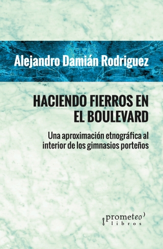 表紙画像: Haciendo fierros en el boulevard: Una aproximación etnográfica al interior de los gimnasios porteños 1st edition 9789875748032