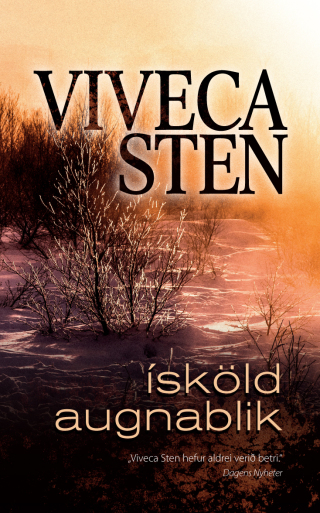 Titelbild: Ísköld augnablik 1st edition 9789935211651