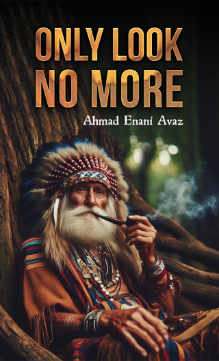 Cover image: Only Look No More 9789948737599