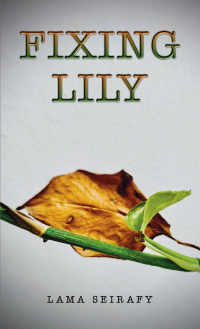 Titelbild: Fixing Lily 9789948778028