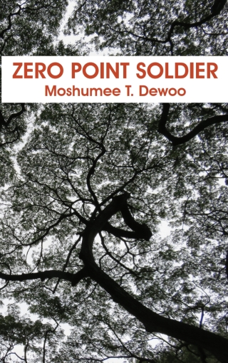 Imagen de portada: Zero Point Soldier 1st edition 9789956550432