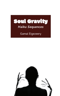 Omslagafbeelding: Soul Gravity 9789956551286