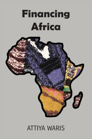 Cover image: Financing Africa 1st edition 9789956551491