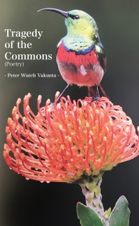 Cover image: Tragedy of the Commons 9789956551279