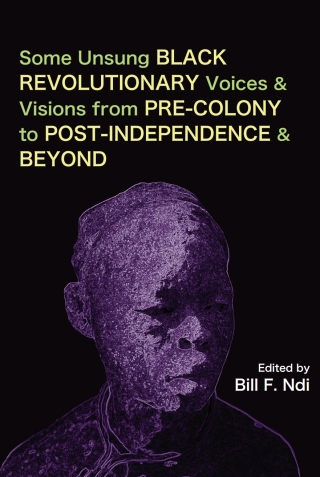 Imagen de portada: Some Unsung Black Revolutionary Voices a 1st edition 9789956551118