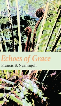 Titelbild: Echoes of Grace 9789956554386