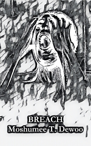 Imagen de portada: Breach 9789956554003