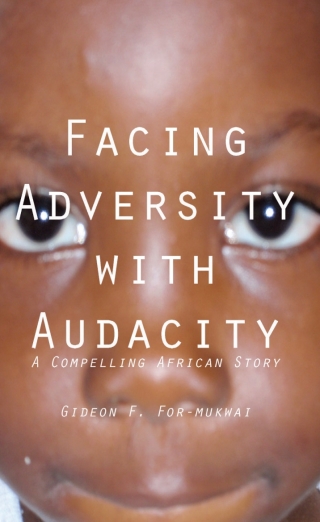 Cover image: Facing Adversity with Audacity 9789956616008