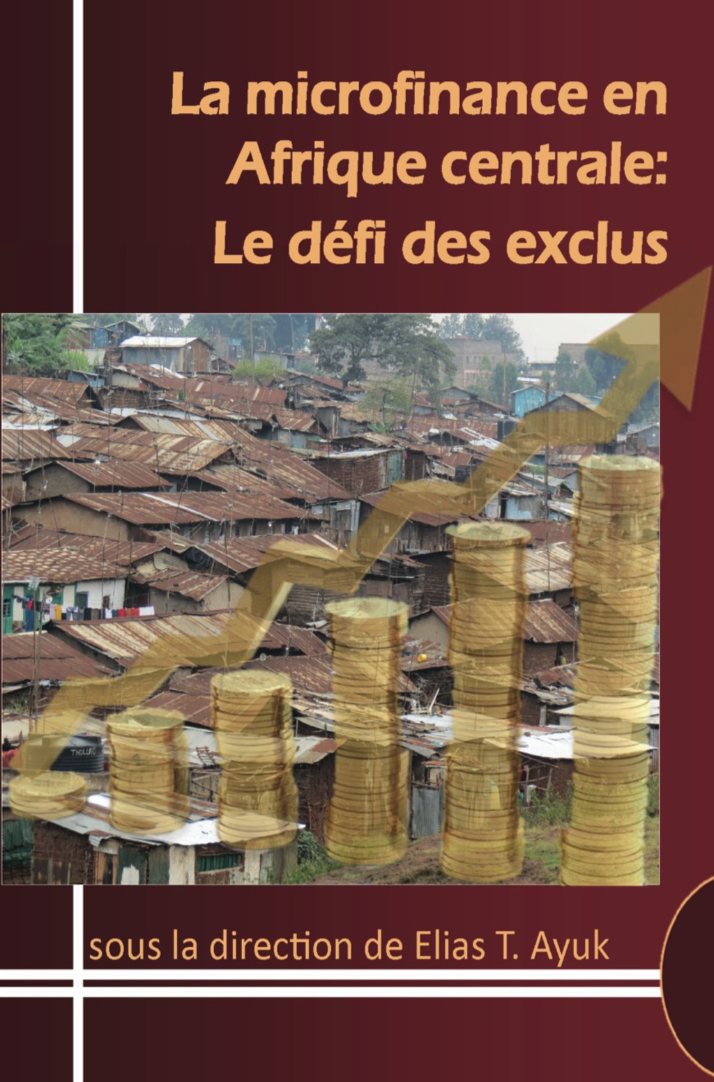 La microfinance en Afrique centrale: Le 1st Edition