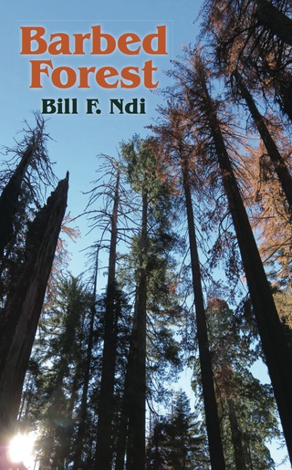Imagen de portada: Barbed Forest 1st edition 9789956764778