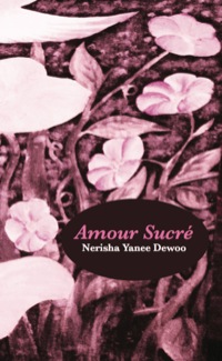 Cover image: Armour Sucre 9789956791873
