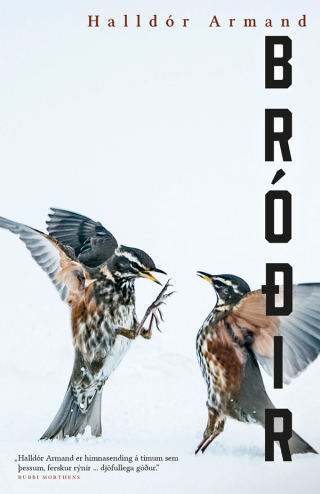 Imagen de portada: Bróðir 1st edition 9789979342762