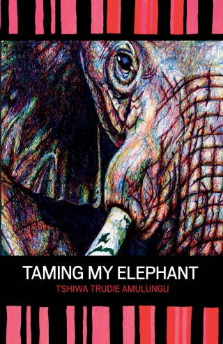 Cover image: Amulungu: Taming My Elephant 1st edition 9789991642185
