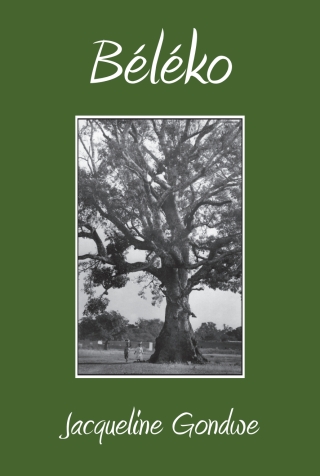 Cover image: Beleko 1st edition 9789996066207