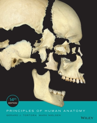 Cover image: Principles of Human Anatomy, Fourteenth Edition WileyPLUS Single-term 14th edition 9781119494652