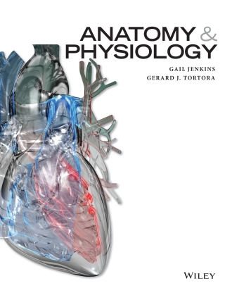 Cover image: Anatomy and Physiology WileyPLUS Multi-term 1st edition 9781119563631