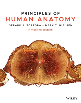 Cover image: Principles of Human Anatomy, Fifteenth Edition WileyPLUS Multi-term 15th edition 9781119781714