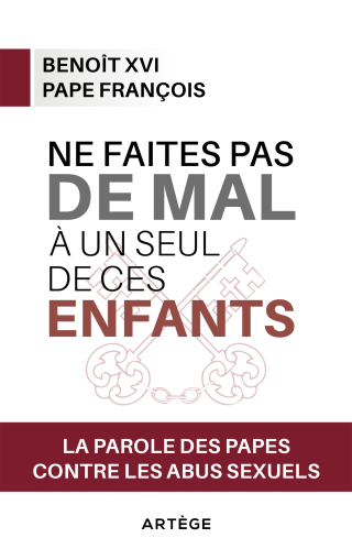 Cover image: Ne faites pas de mal à un seul de ces enfants 9791033609711
