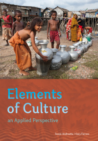 Cover image: Elements of Culture: An Applied Perspective 1st edition 9781111830007