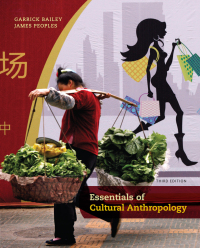 Cover image: Essentials of Cultural Anthropology 3rd edition 9781133603566