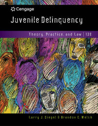 Immagine di copertina: Juvenile Delinquency: Theory, Practice, and Law 13th edition 9781337091831