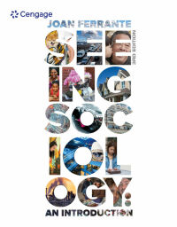 Cover image: Seeing Sociology: An Introduction 3rd edition 9781305094369