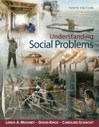 Titelbild: Understanding Social Problems 10th edition 9781305576513