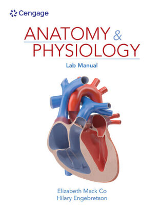 Cover image: Anatomy & Physiology Lab Manual 1st edition 9780357909164