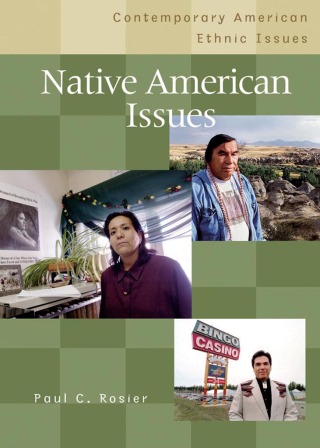 Cover image: American Families in Crisis 1st edition 9781598841640