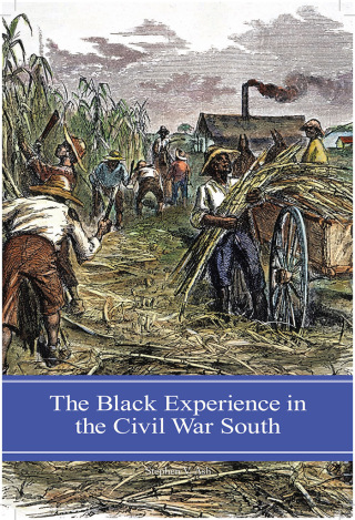 Cover image: The Black Experience in the Civil War South 1st edition